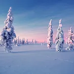 Arctic منتجع 3*