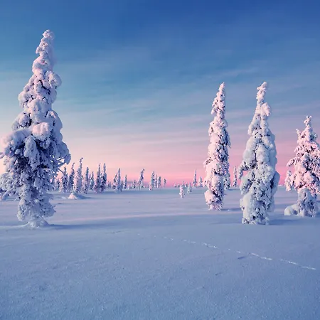 Arctic אתר נופש 5*