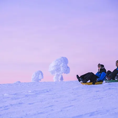 Arctic Θέρετρο