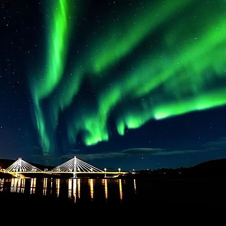 Arctic