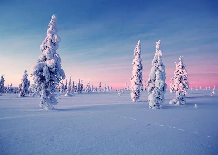 Arctic منتجع 5*